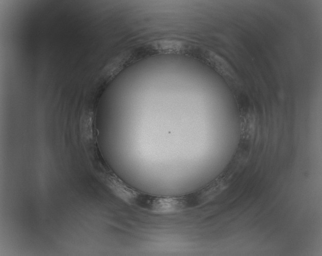 X0000073450717200607281221