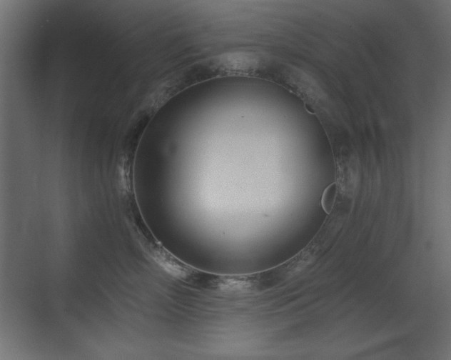 X0000073450718200607281221