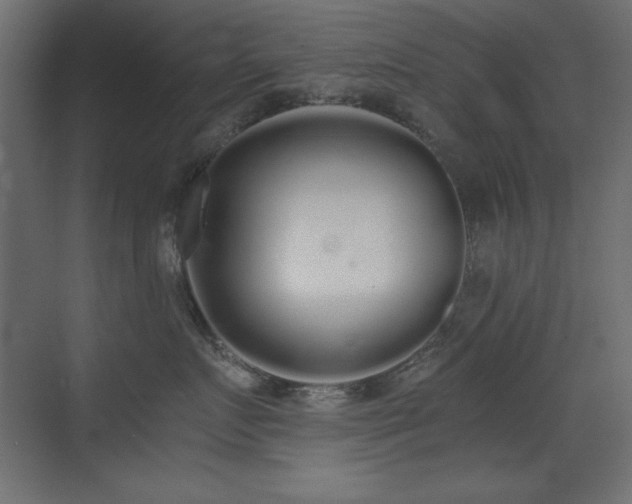 X0000073450719200607281221