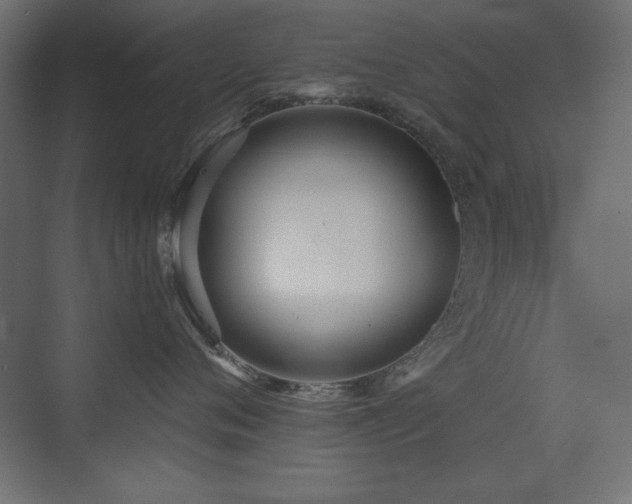 X0000073450720200607281221