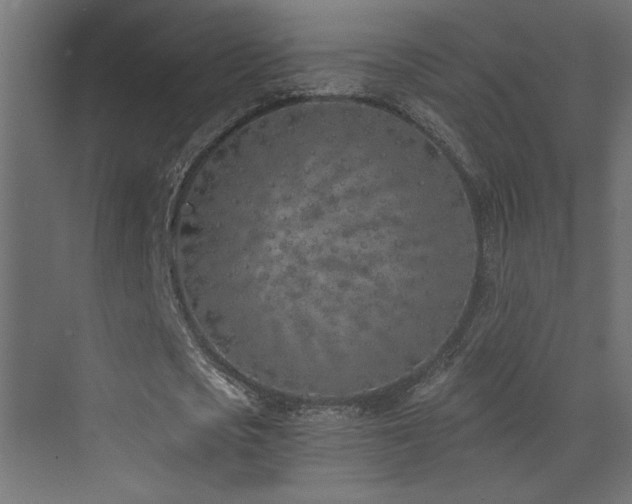 X0000073450721200607281220