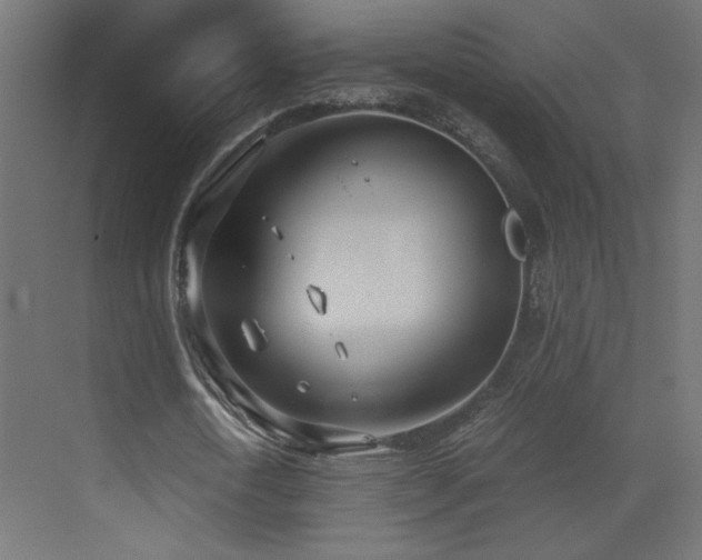 X0000073450722200607281220