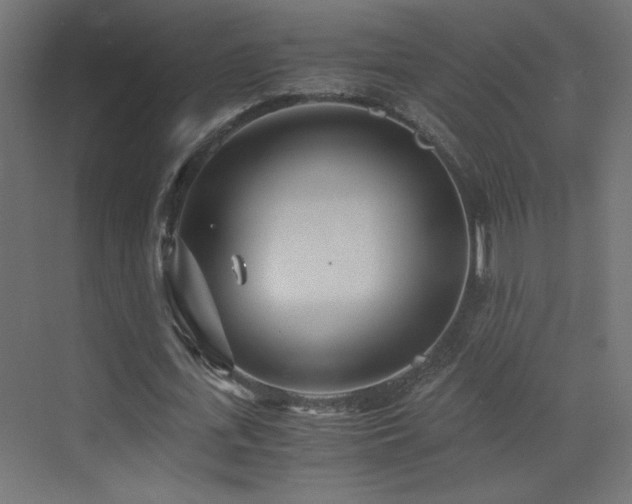 X0000073450723200607281220