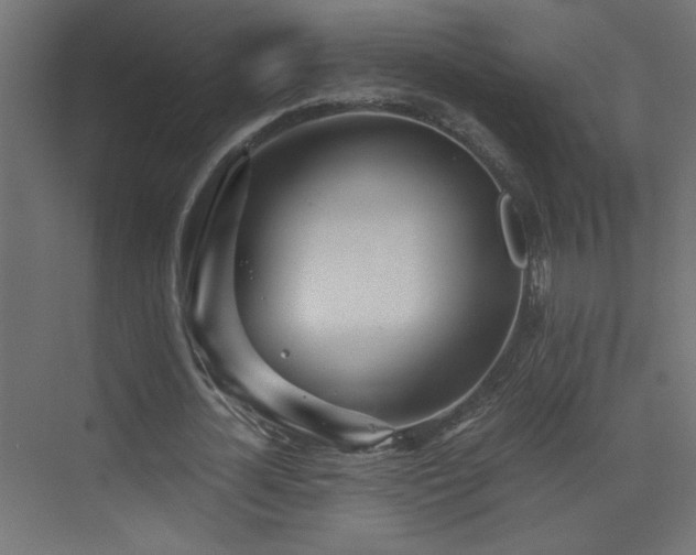 X0000073450724200607281220