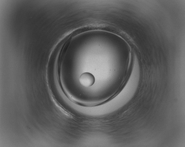 X0000073450726200607281220