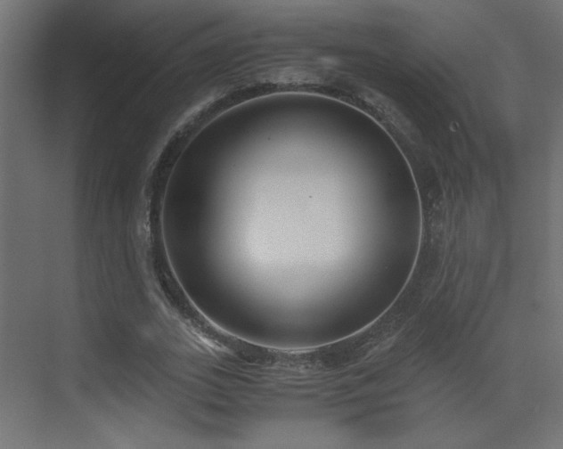 X0000073450727200607281220