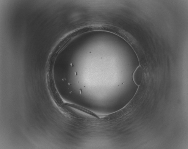 X0000073450728200607281220