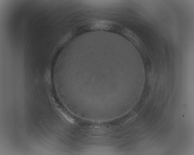 X0000073450729200607281220