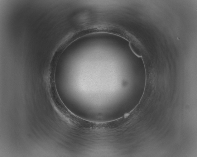 X0000073450730200607281220