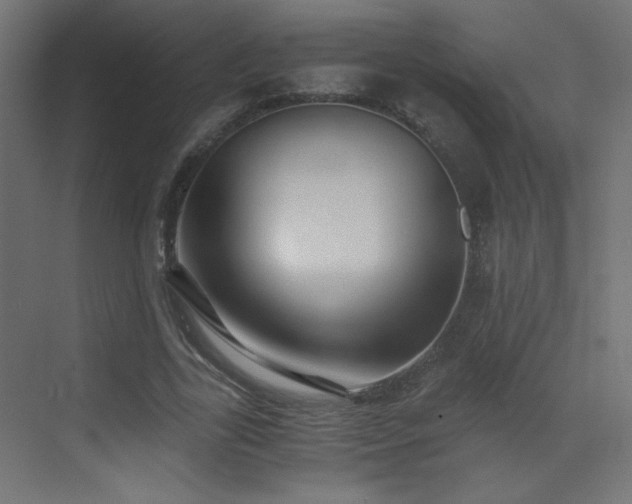 X0000073450731200607281220