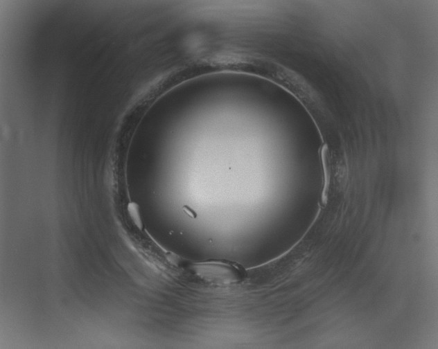 X0000073450732200607281220