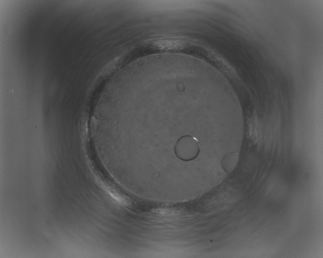 X0000073450733200607281220