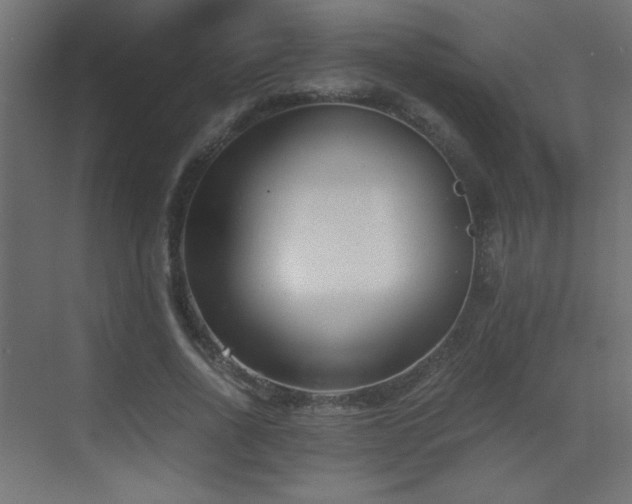 X0000073450734200607281220