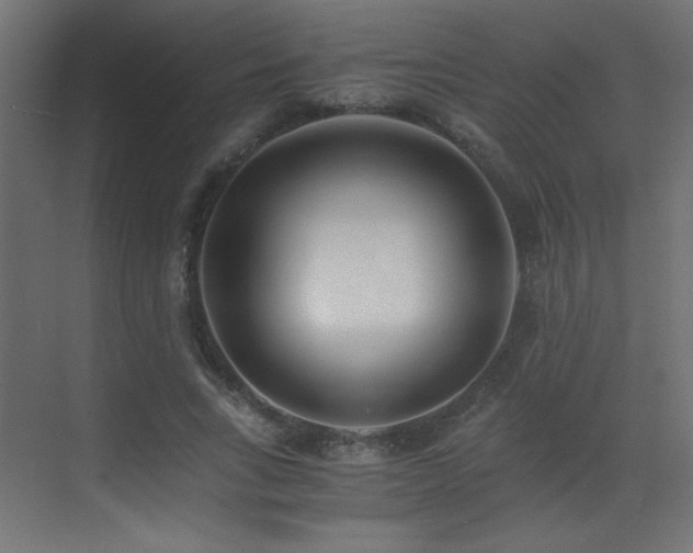 X0000073450735200607281220