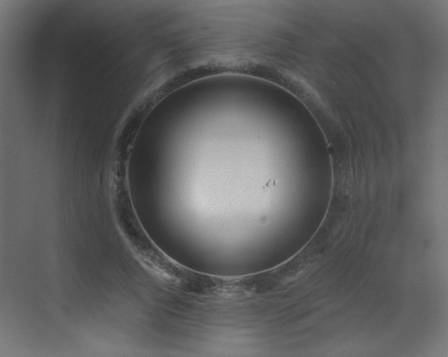 X0000073450736200607281220