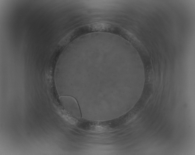 X0000073450737200607281220