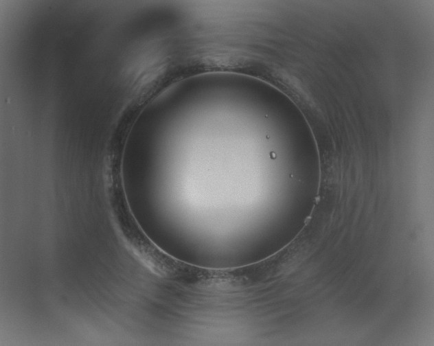 X0000073450738200607281220