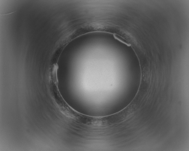 X0000073450740200607281220