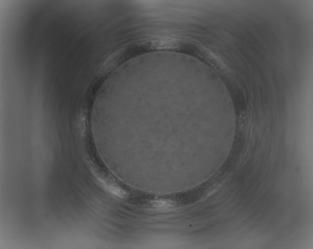 X0000073450741200607281220