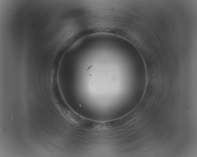 X0000073450742200607281220