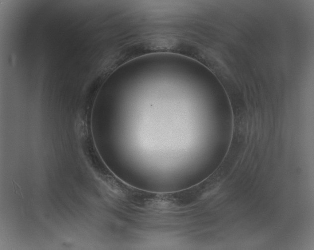 X0000073450743200607281220