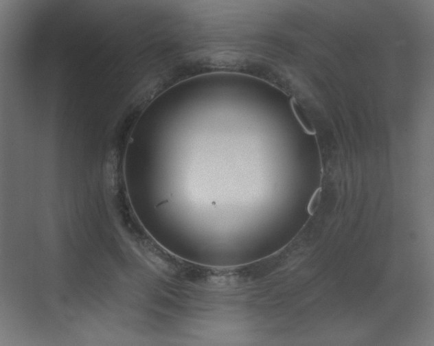 X0000073450744200607281220