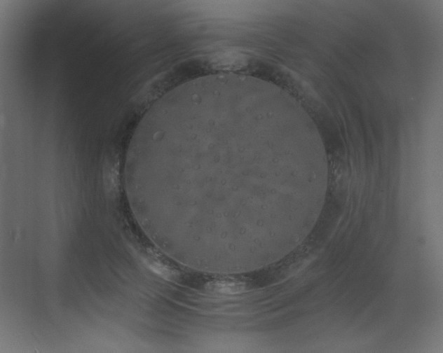 X0000073450745200607281220