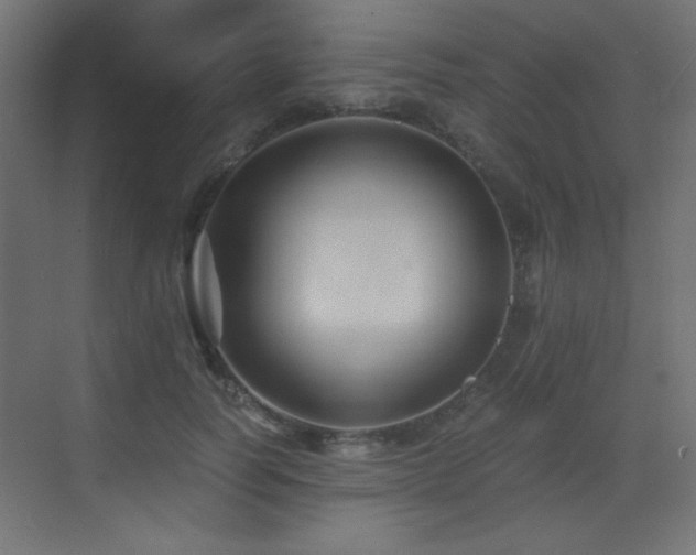 X0000073450746200607281220