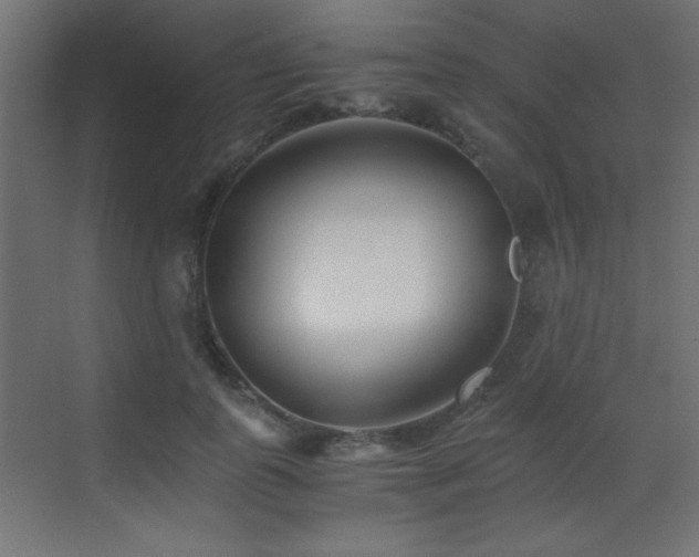 X0000073450747200607281220