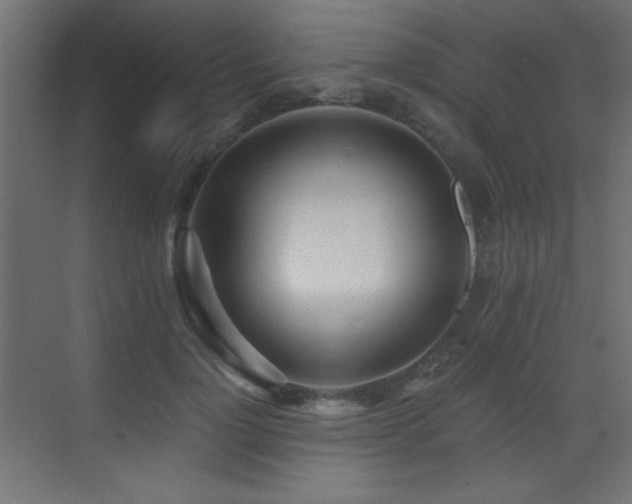 X0000073450748200607281220