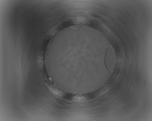 X0000073450749200607281220