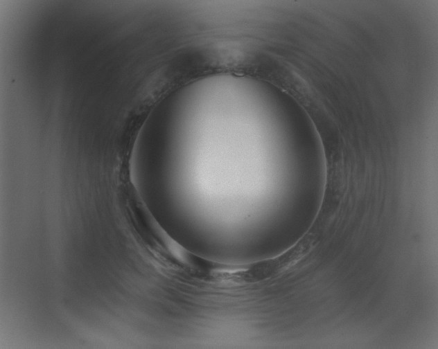 X0000073450750200607281220