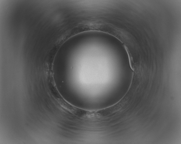 X0000073450752200607281220