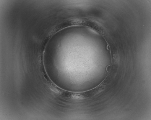 X0000073450753200607281220