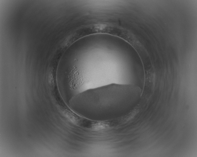 X0000073450754200607281220