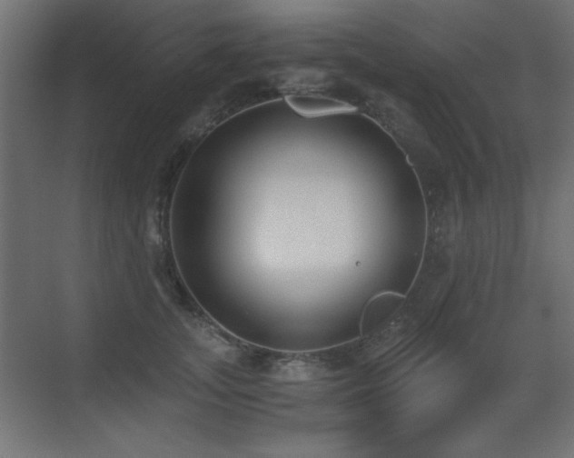 X0000073450755200607281220