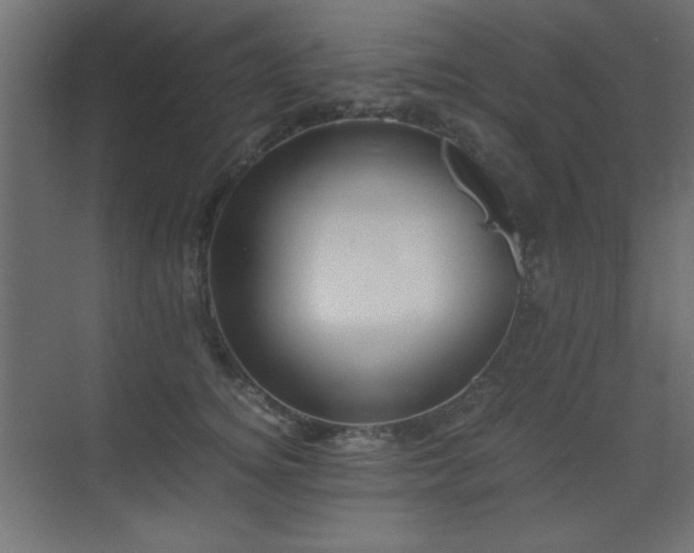 X0000073450756200607281221