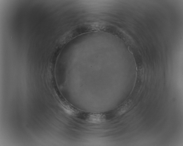 X0000073450757200607281221