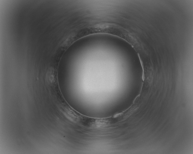 X0000073450758200607281221