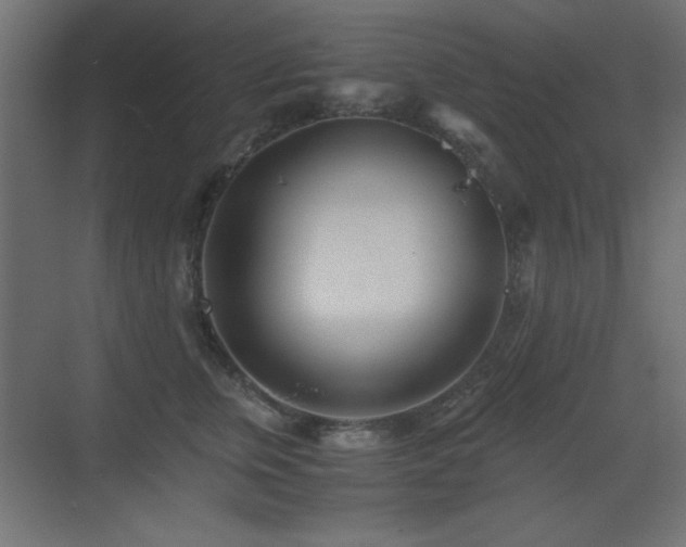 X0000073450759200607281221