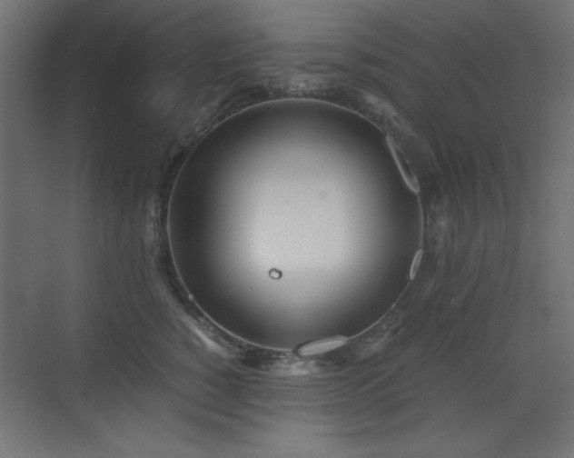 X0000073450760200607281221