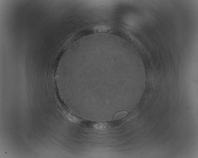 X0000073450761200607281221