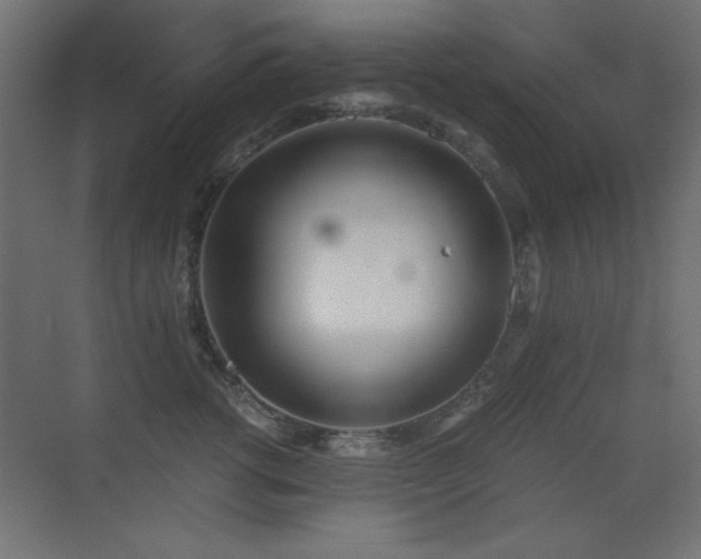 X0000073450762200607281221