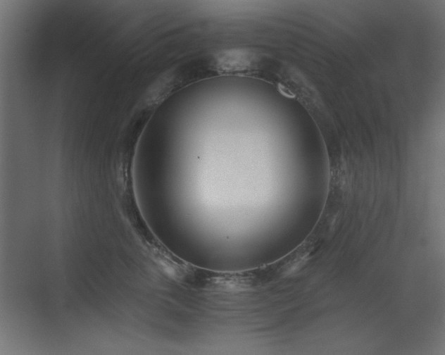 X0000073450763200607281221