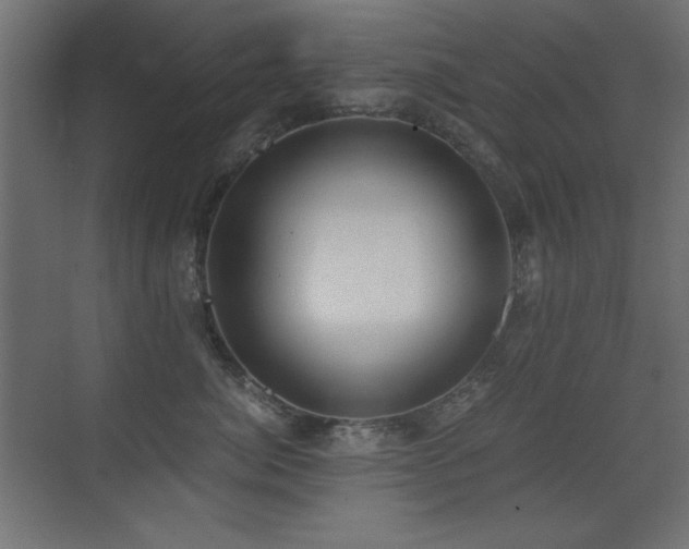 X0000073450764200607281221