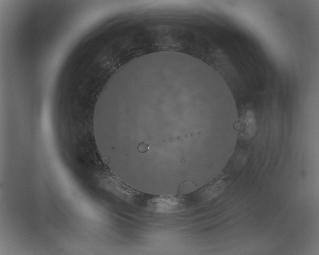 X0000073450765200607281221