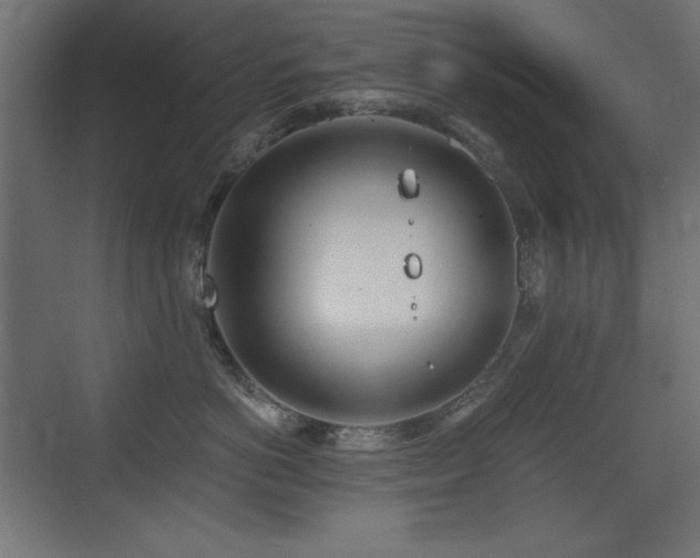 X0000073450766200607281221