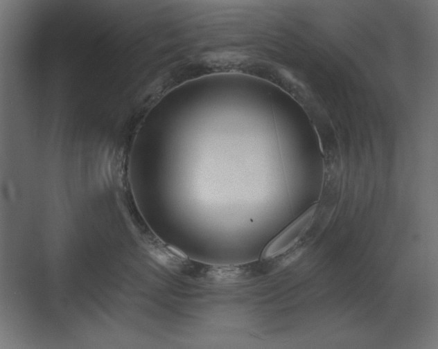 X0000073450767200607281221