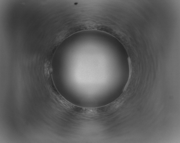 X0000073450768200607281221