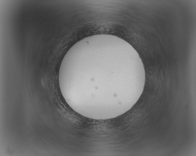 X0000073450769200607281220